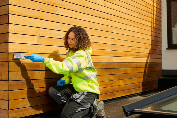 Best Siding Removal and Disposal  in Falmouth, VA