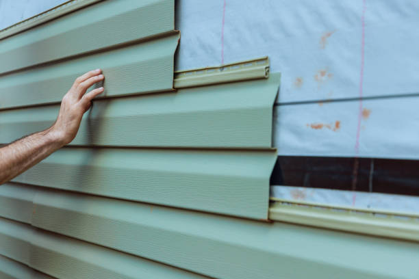 Best Stone Veneer Siding  in Falmouth, VA